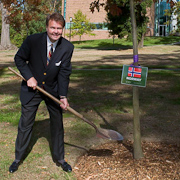 Man planting tree