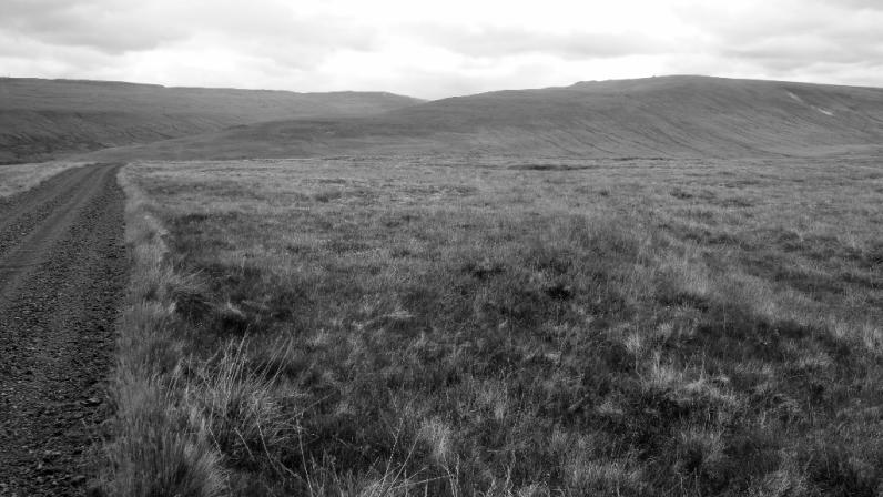 A road leads down the heath to a valley.