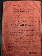 The Occult Diary