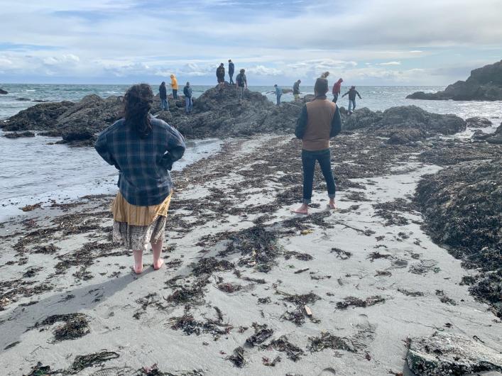 Professors Lauren Poyer and Andy Meyer standing in seaweed, watching as students climb around on tidepool rocks. Photo taken on South Beach, San Juan Island.