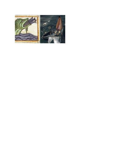 Norse sea monster (l) Whale (r)