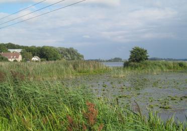 marshy Lithuanian countryside