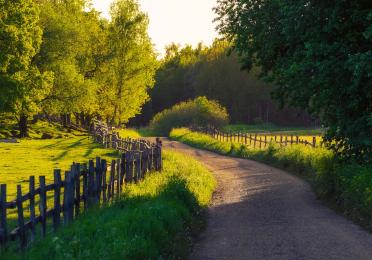 Scandinavian countryside path